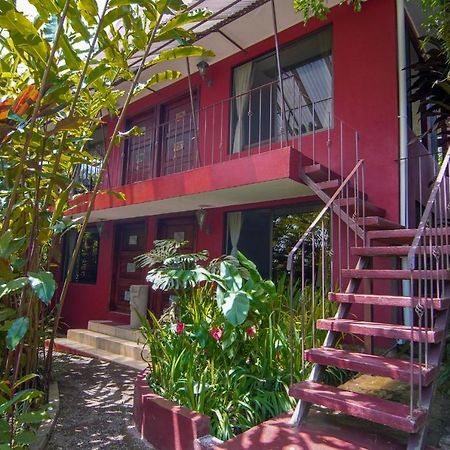 La Boruca Bed & Breakfast San Isidro  Dış mekan fotoğraf