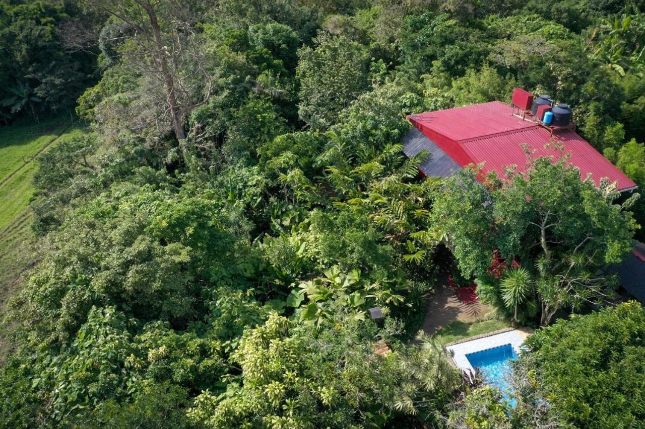 La Boruca Bed & Breakfast San Isidro  Dış mekan fotoğraf