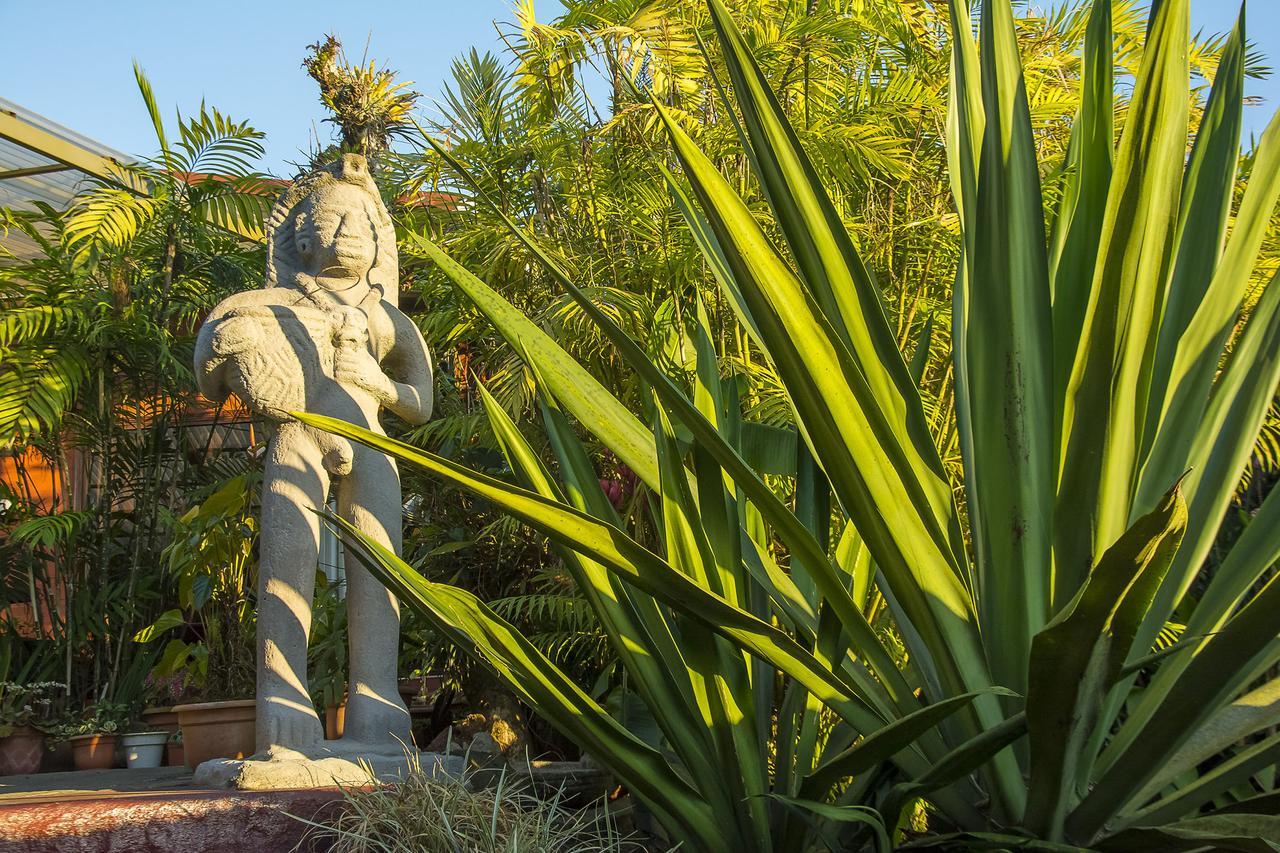 La Boruca Bed & Breakfast San Isidro  Dış mekan fotoğraf