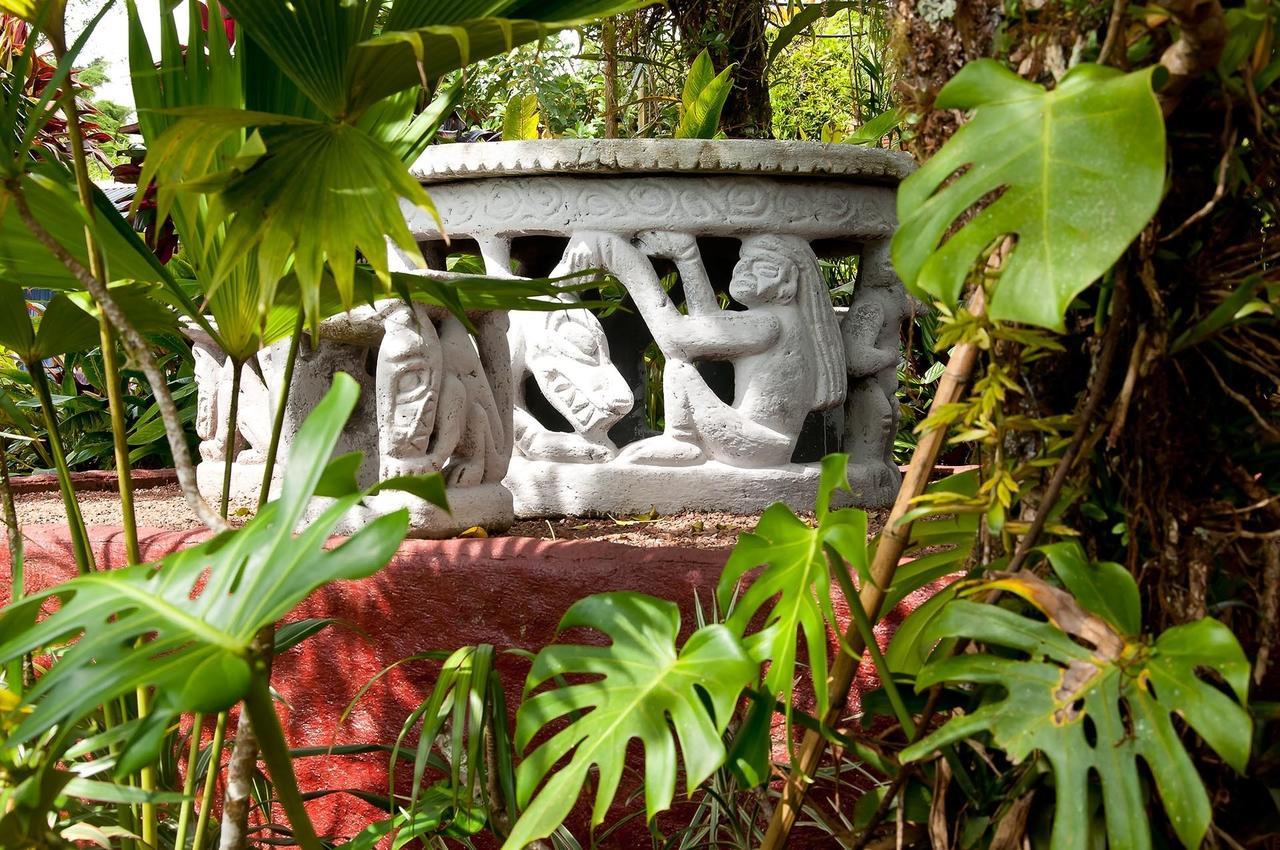 La Boruca Bed & Breakfast San Isidro  Dış mekan fotoğraf
