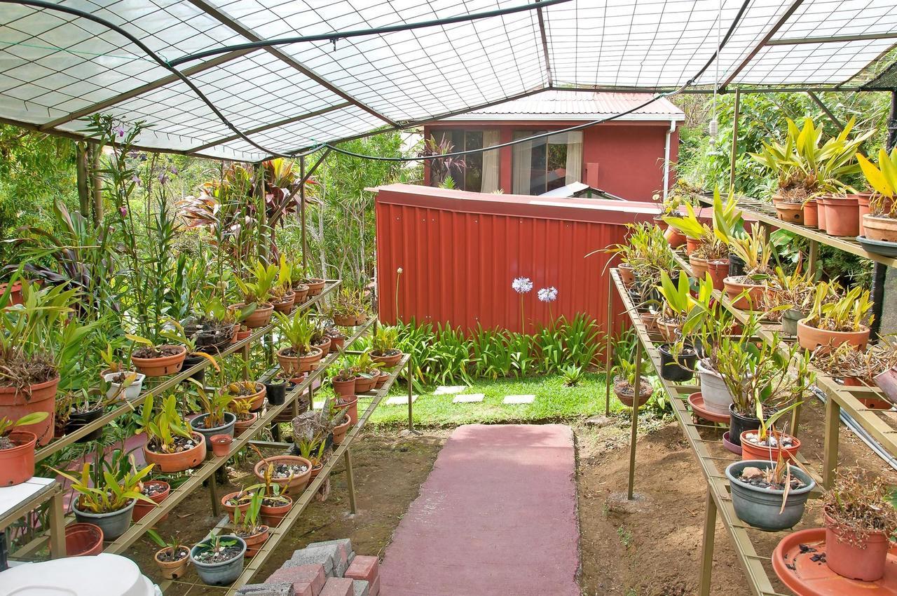 La Boruca Bed & Breakfast San Isidro  Dış mekan fotoğraf