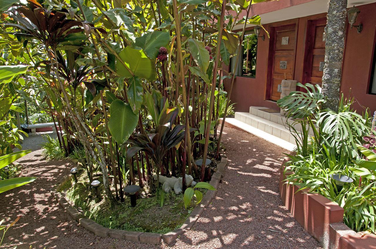 La Boruca Bed & Breakfast San Isidro  Dış mekan fotoğraf